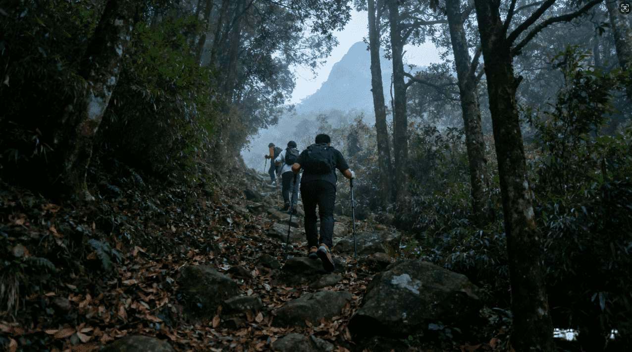 怎样判断蜜蜂加速器是否感染病毒